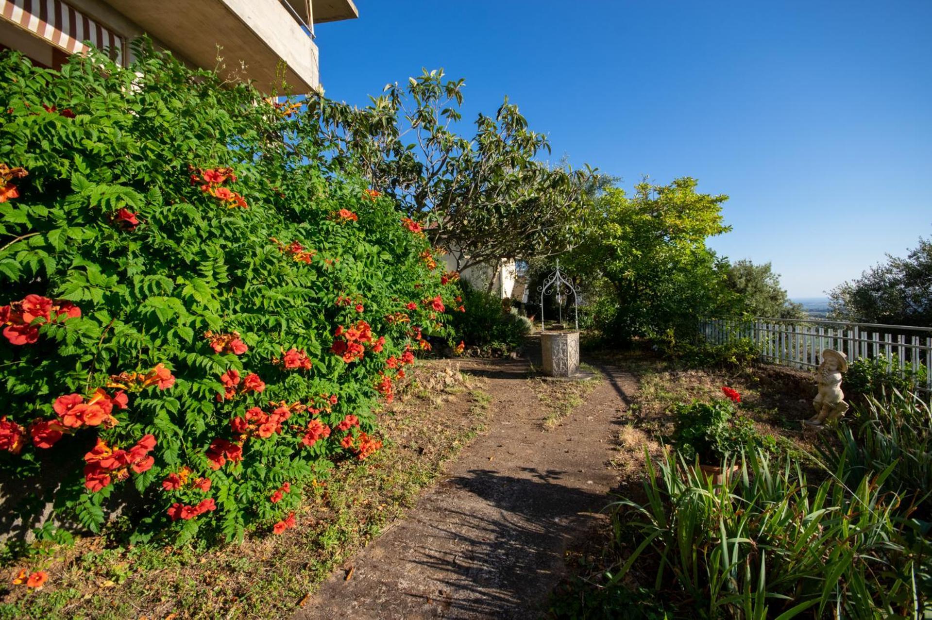 Villa Panoramica Garden Bike Massa Marittima Εξωτερικό φωτογραφία