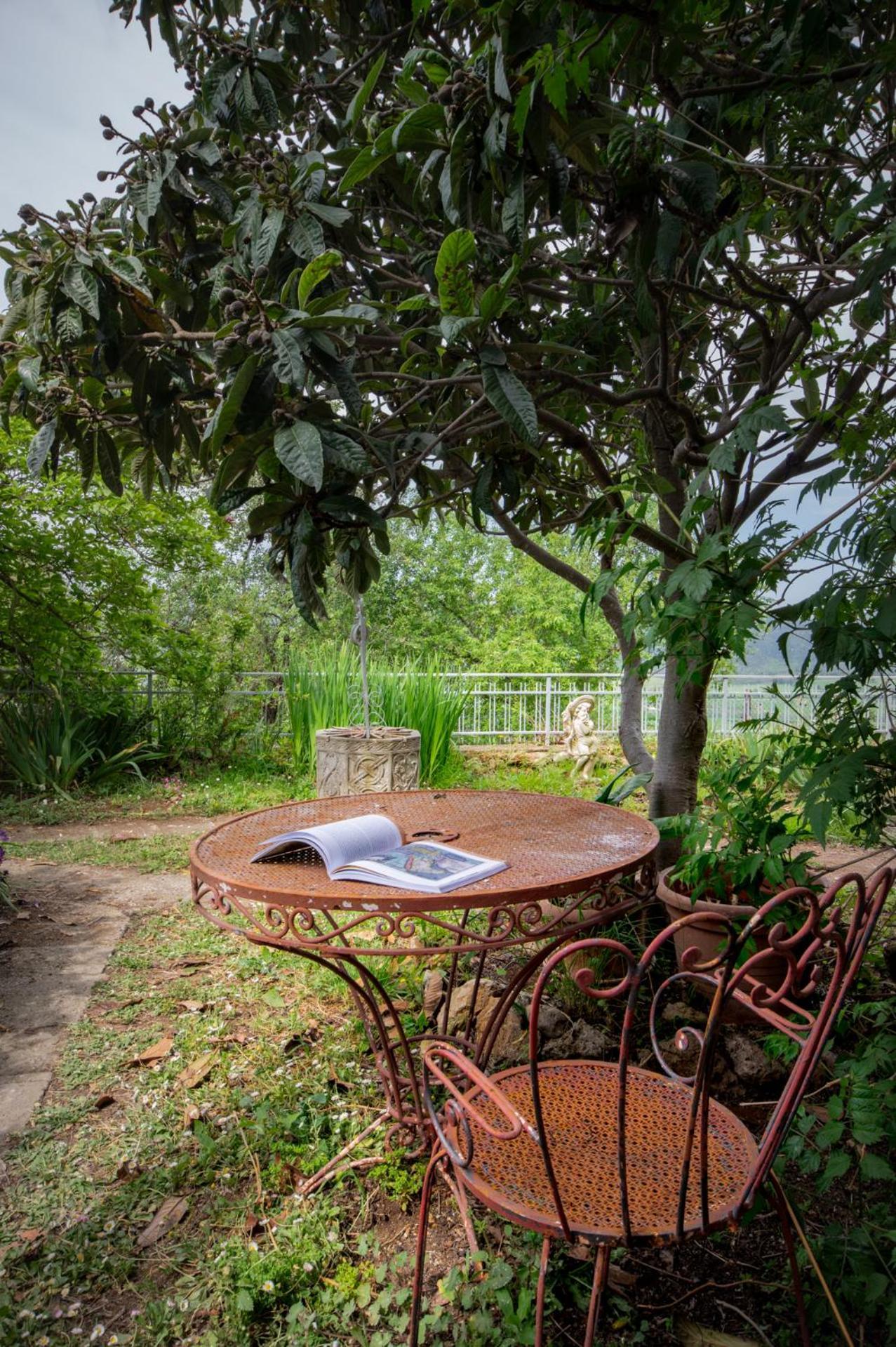 Villa Panoramica Garden Bike Massa Marittima Εξωτερικό φωτογραφία