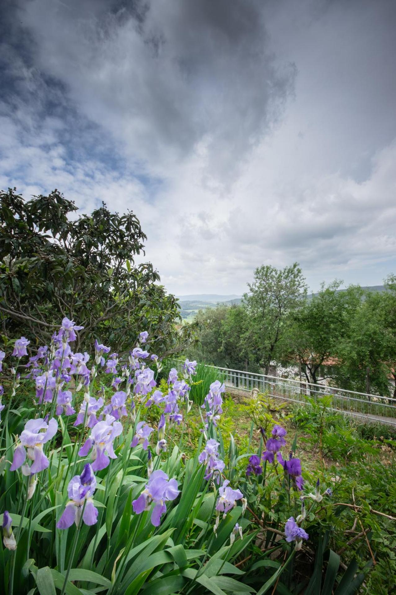 Villa Panoramica Garden Bike Massa Marittima Εξωτερικό φωτογραφία
